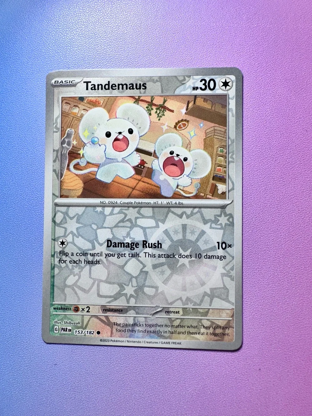 tandemaus [reverse holo] - 153/182 (common) — pokémon: paradox rift